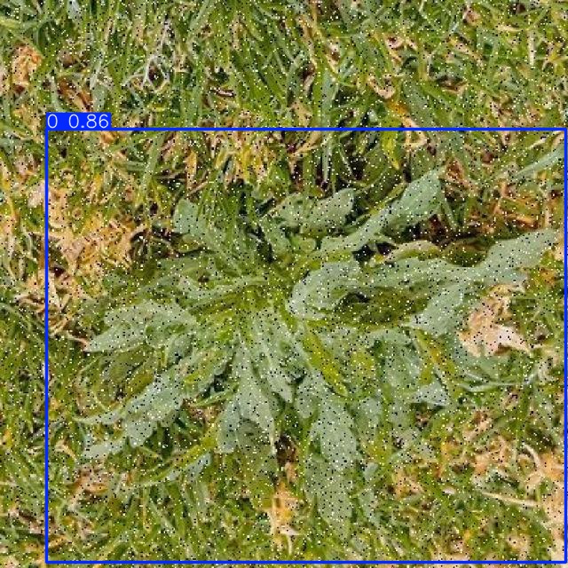 Annotated Image