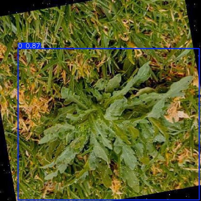Annotated Image