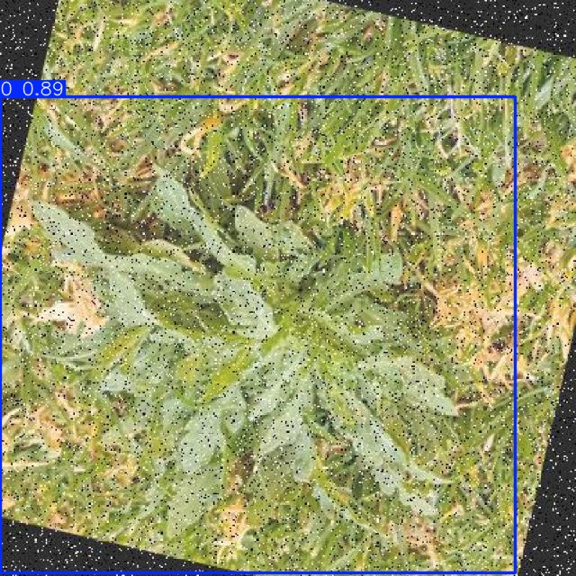 Annotated Image