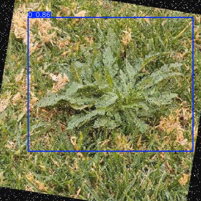 Annotated Image