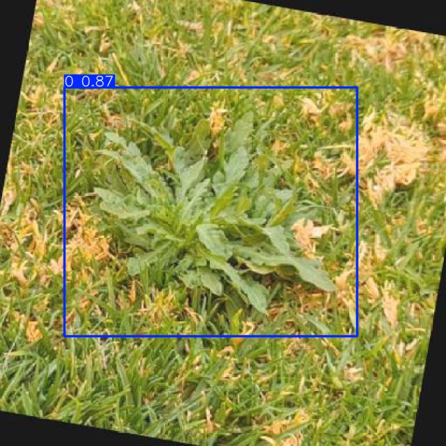 Annotated Image