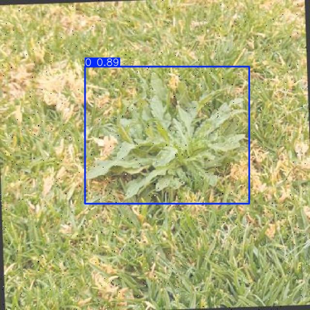 Annotated Image