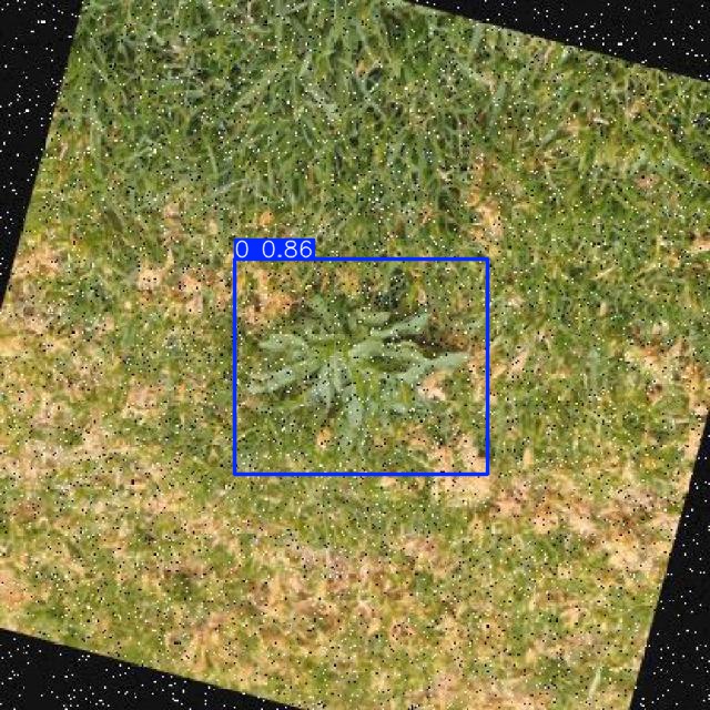 Annotated Image