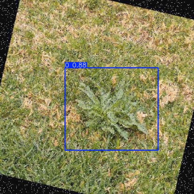 Annotated Image