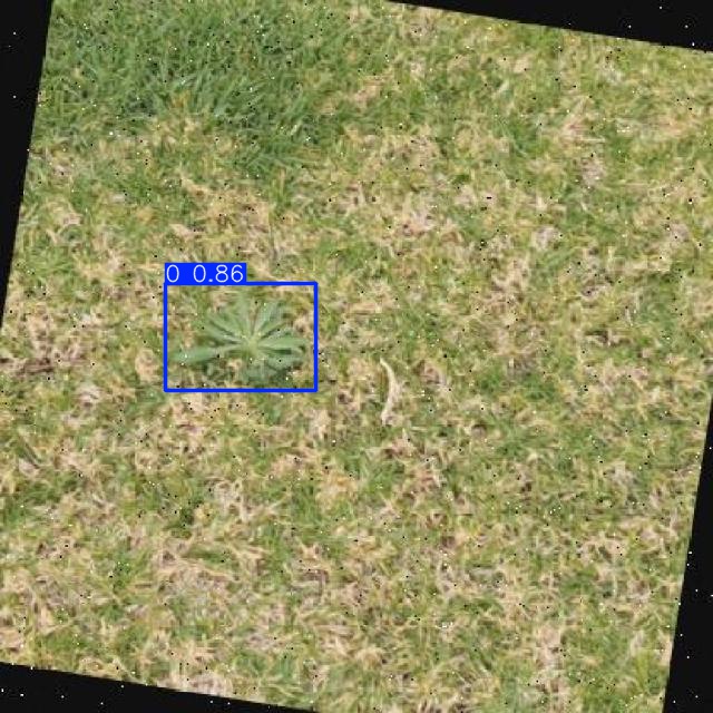 Annotated Image