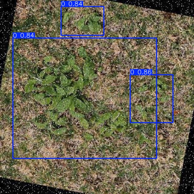 Annotated Image