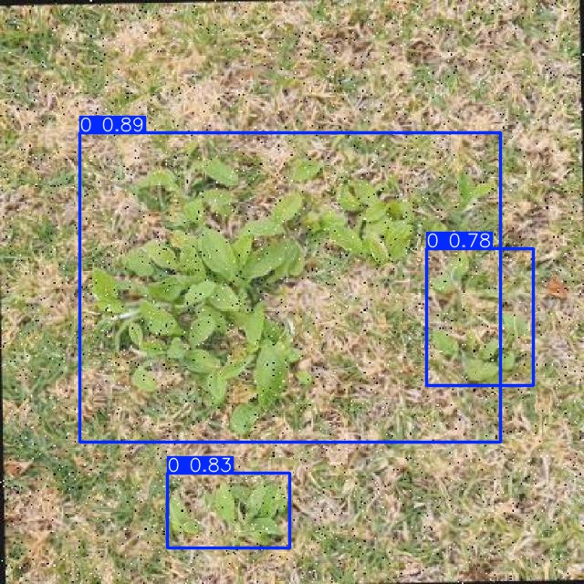 Annotated Image