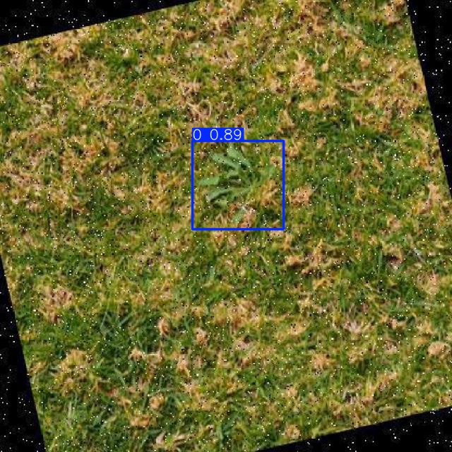 Annotated Image