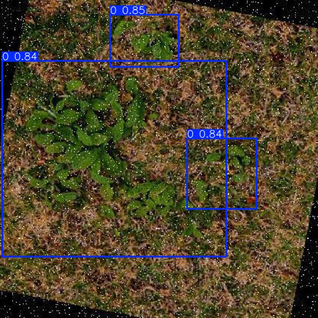 Annotated Image