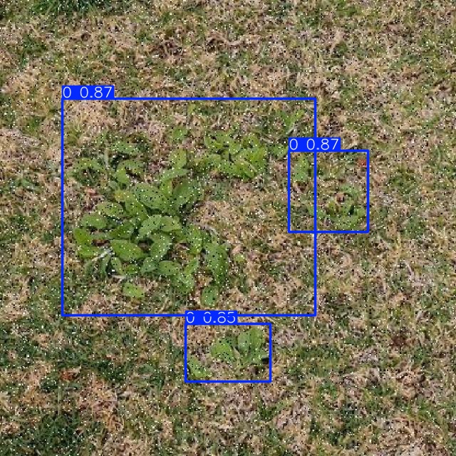 Annotated Image
