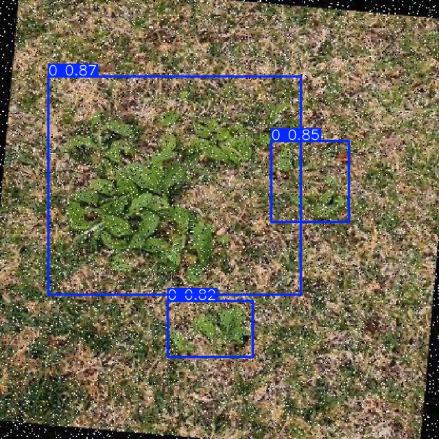Annotated Image
