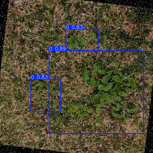 Annotated Image
