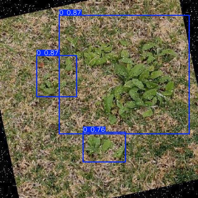 Annotated Image