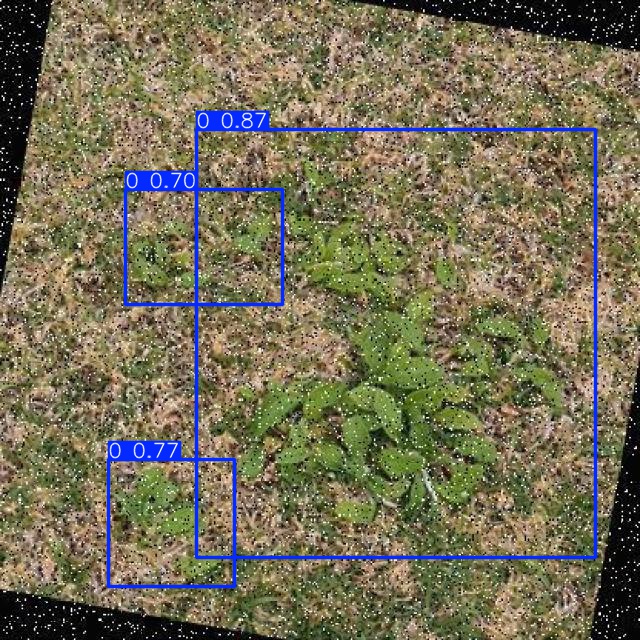 Annotated Image