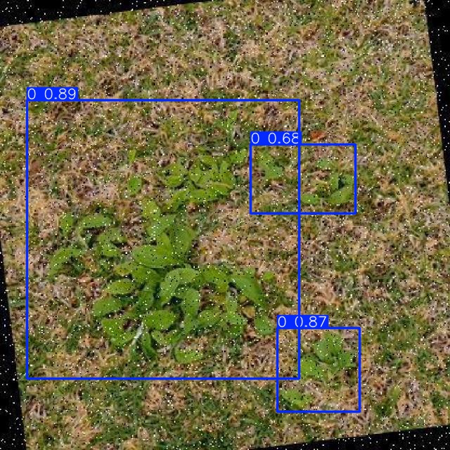 Annotated Image