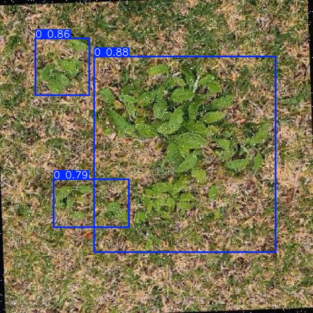 Annotated Image