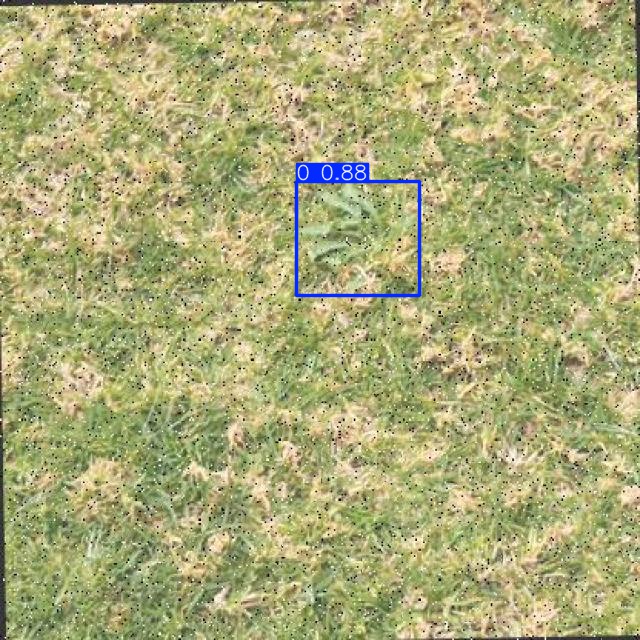 Annotated Image