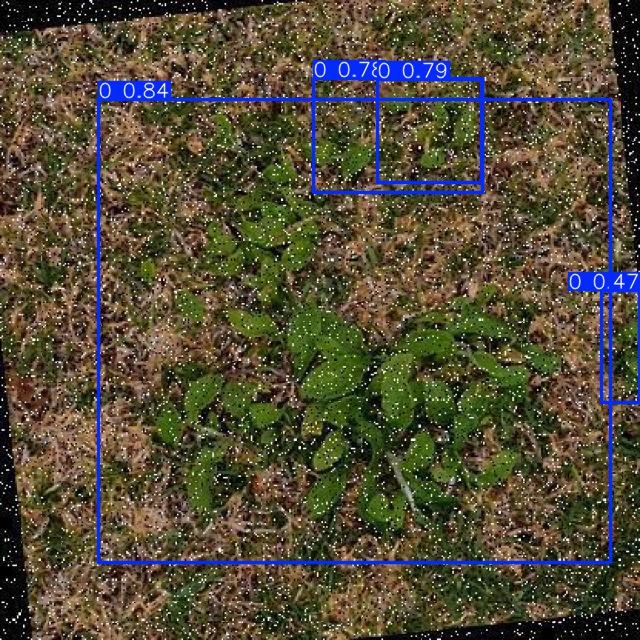 Annotated Image