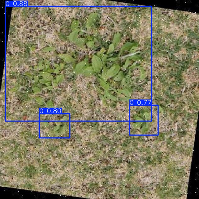 Annotated Image