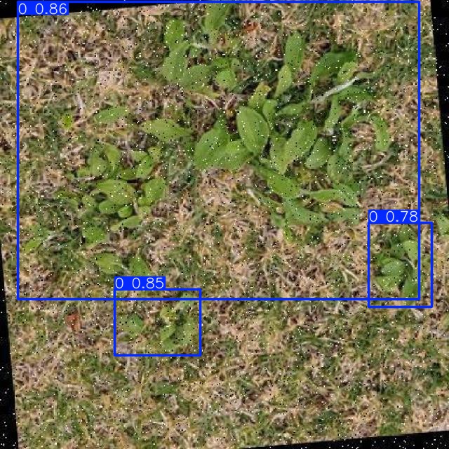 Annotated Image