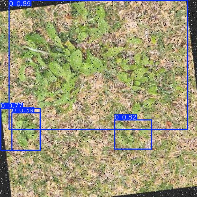 Annotated Image