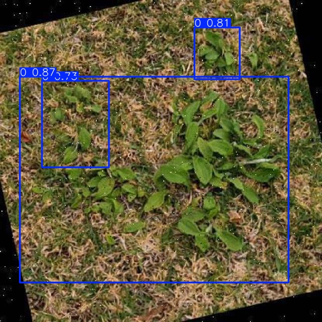 Annotated Image