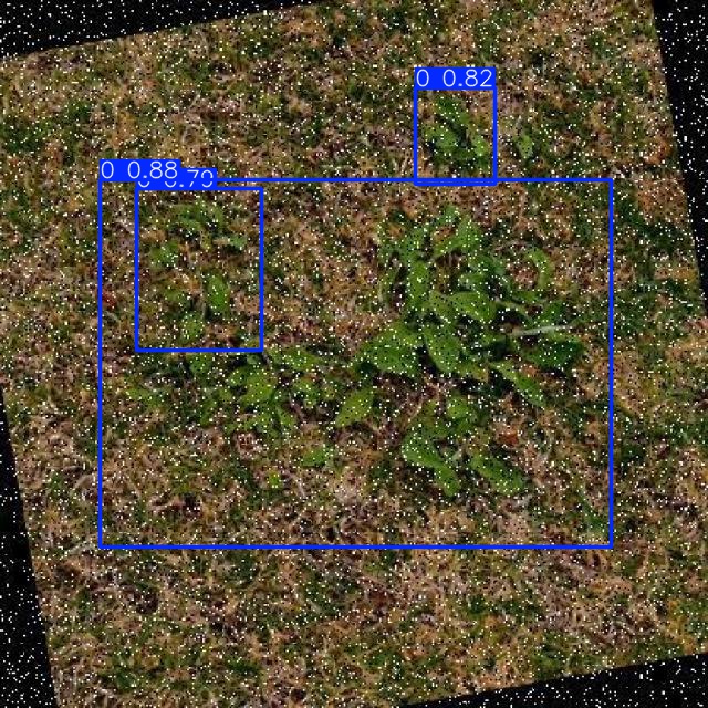 Annotated Image