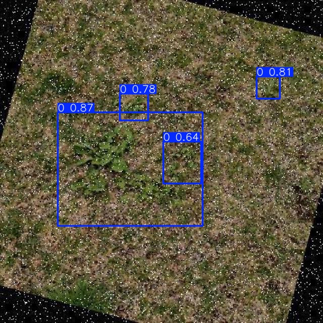 Annotated Image