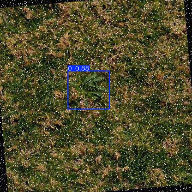 Annotated Image