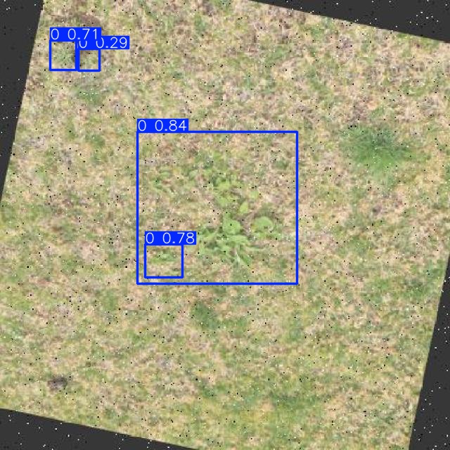 Annotated Image