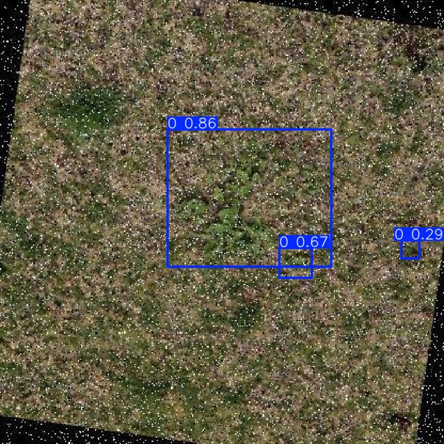 Annotated Image