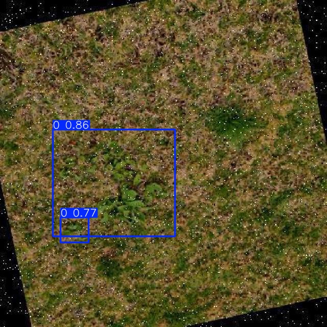 Annotated Image