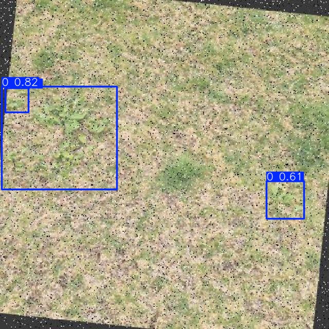 Annotated Image