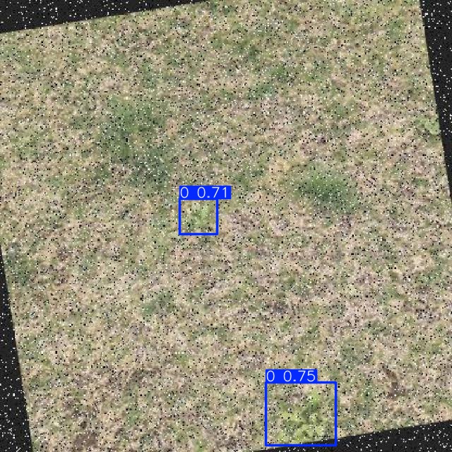 Annotated Image