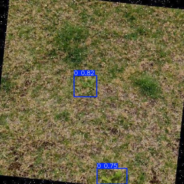 Annotated Image