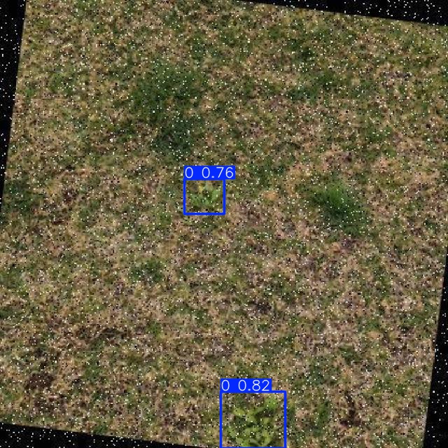 Annotated Image