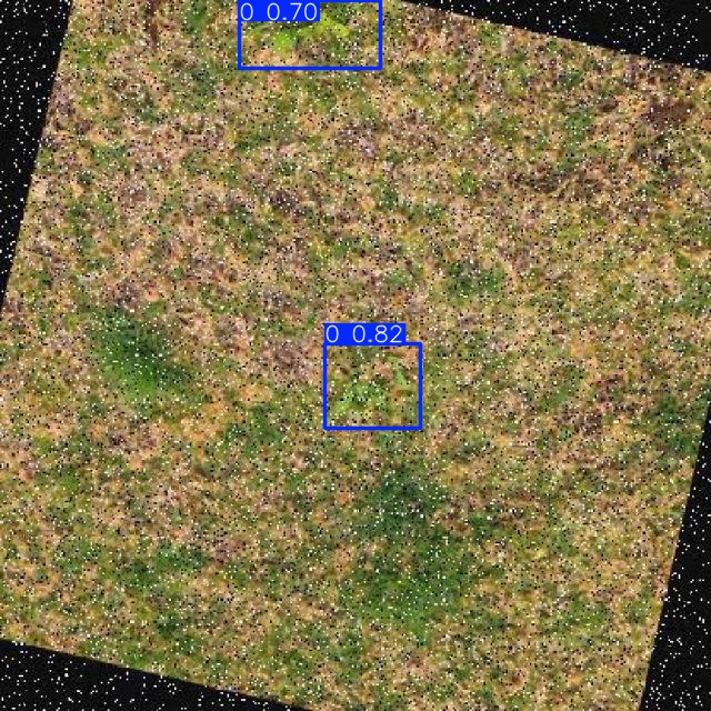 Annotated Image