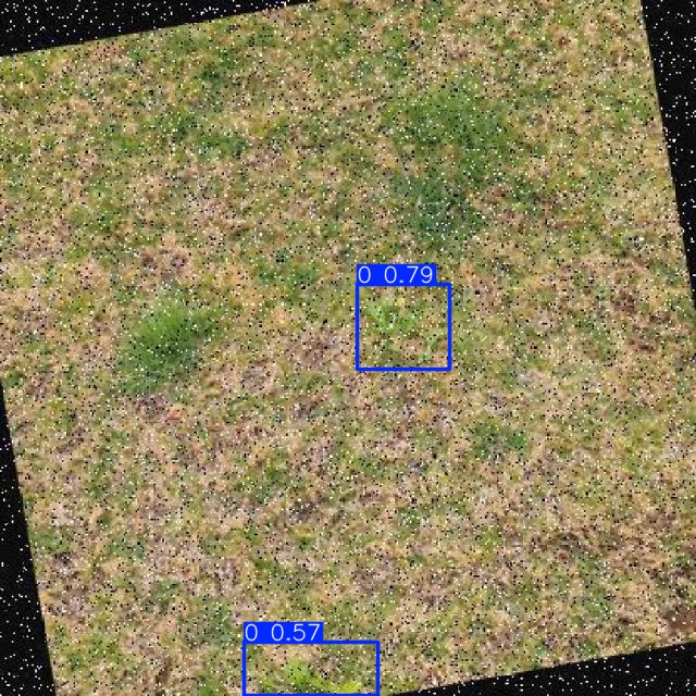 Annotated Image