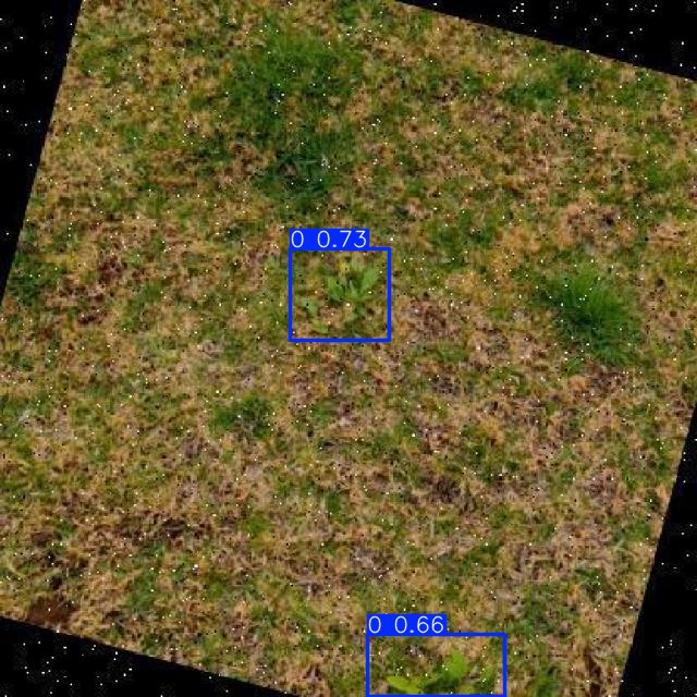 Annotated Image