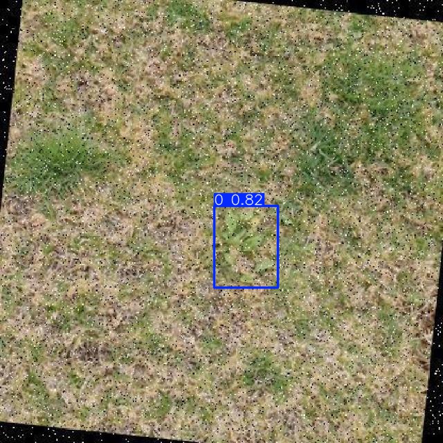 Annotated Image
