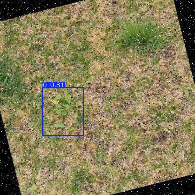 Annotated Image