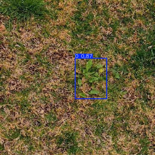 Annotated Image