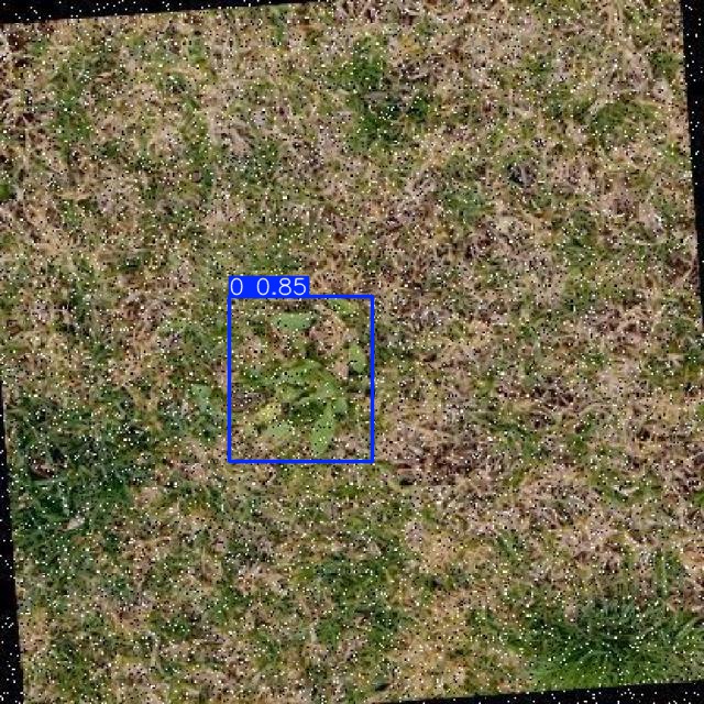 Annotated Image