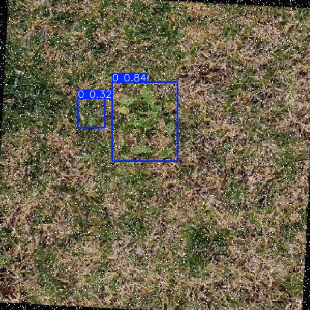 Annotated Image