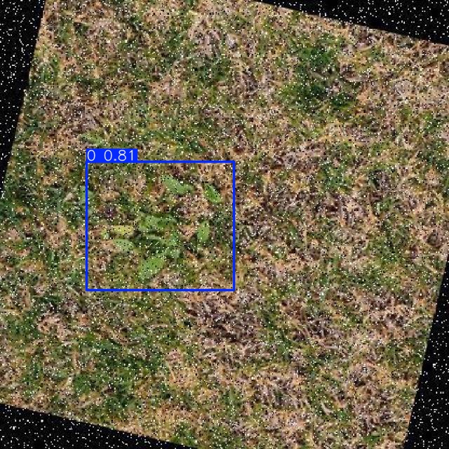 Annotated Image