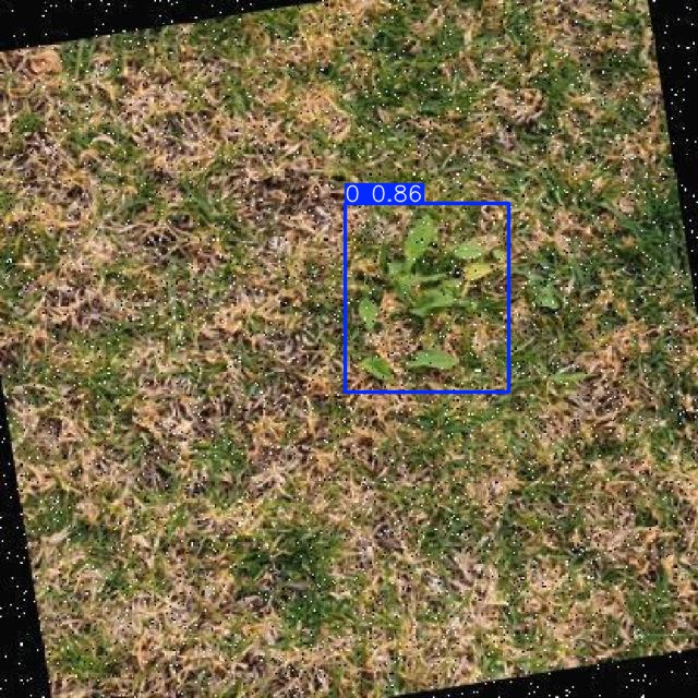 Annotated Image