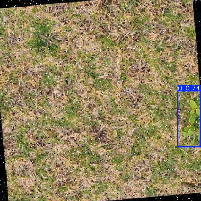 Annotated Image