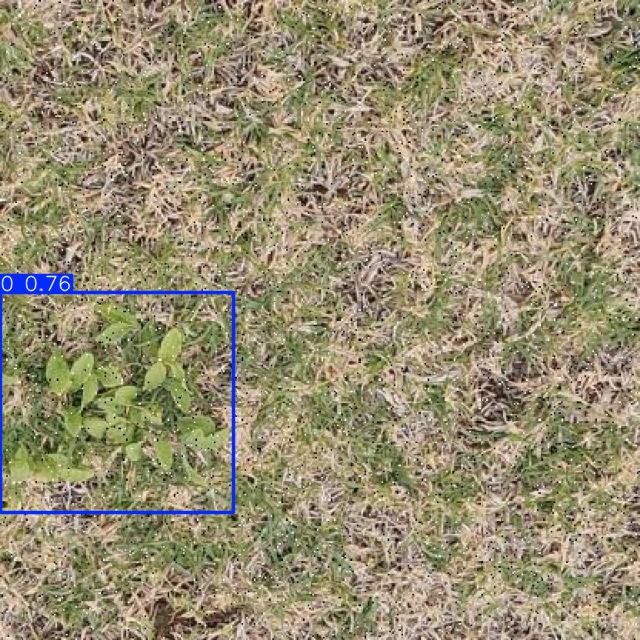 Annotated Image