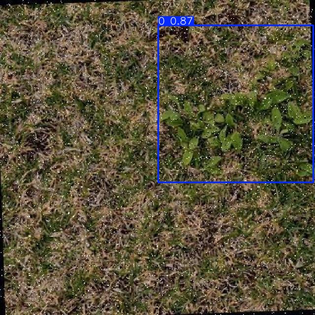 Annotated Image