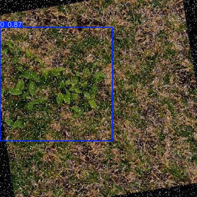 Annotated Image